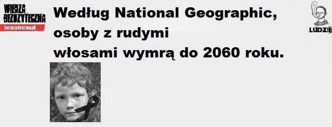 Rudzi