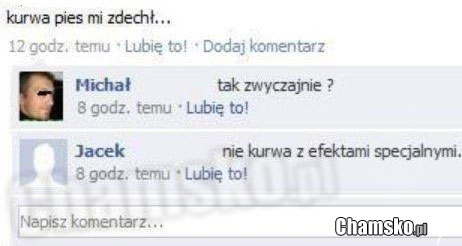 Pies mi zdech?