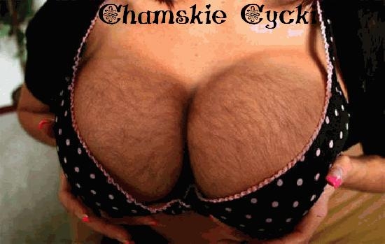 Chamskie Cycki