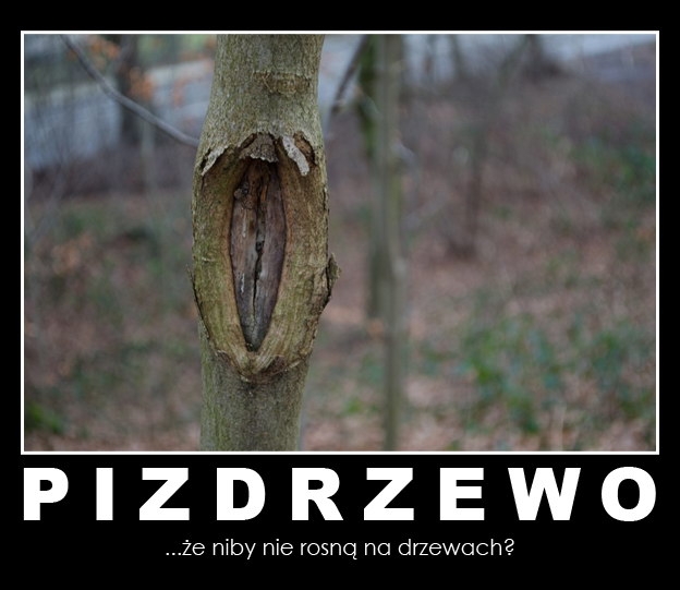 Kobiety nie rosn? na drzewach!
