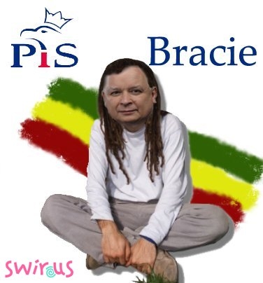 Pis Bracie