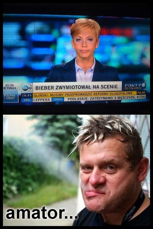 Amator