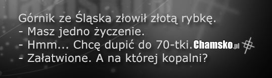 Górnik ze śląska