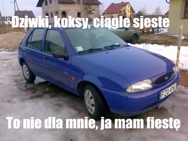 fiesta