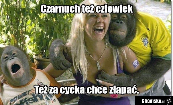 Wszyscy lubią