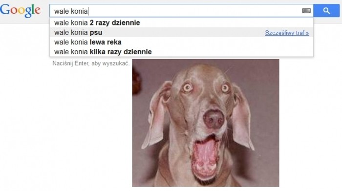 Wujek google