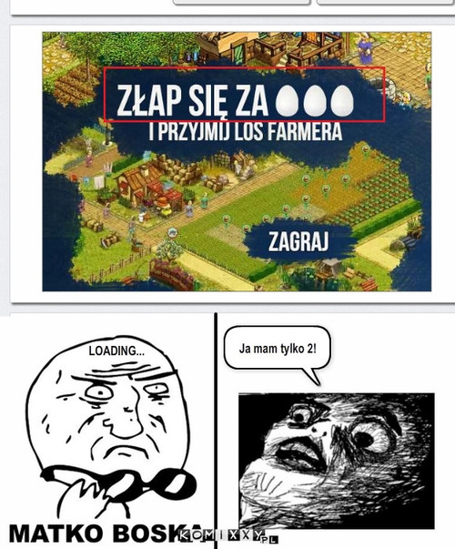 Jajka