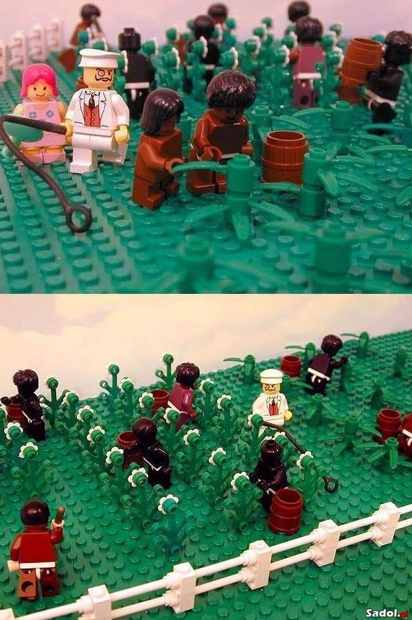 Plantacja bawełny LEGO