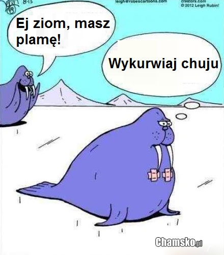Plama