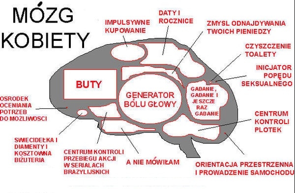 mózg