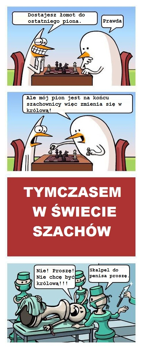 Szachy
