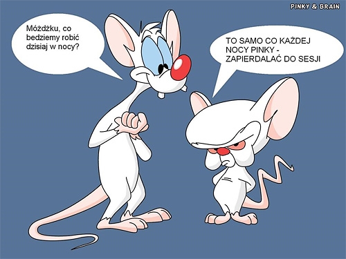 Co B?dziemy Robi? Mó?d?ku
