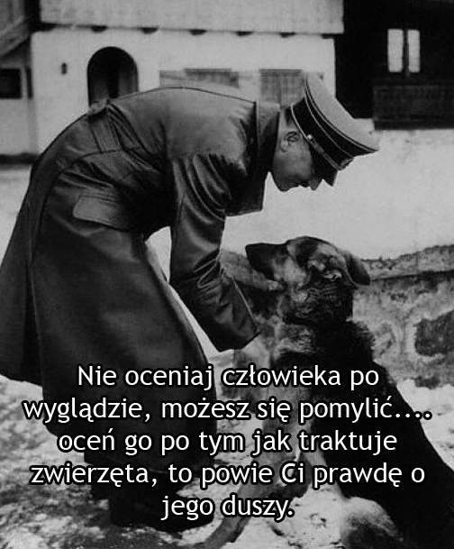 Nie oceniaj po wyglądzie