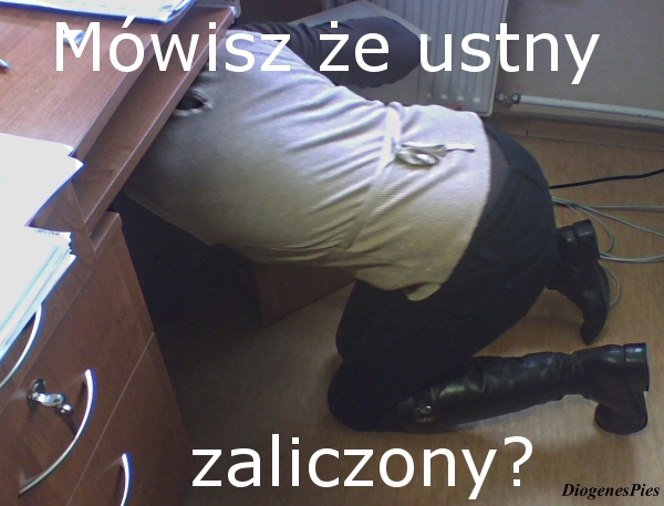 Egzaminy ustne