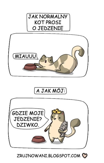 Żarcie dla kota