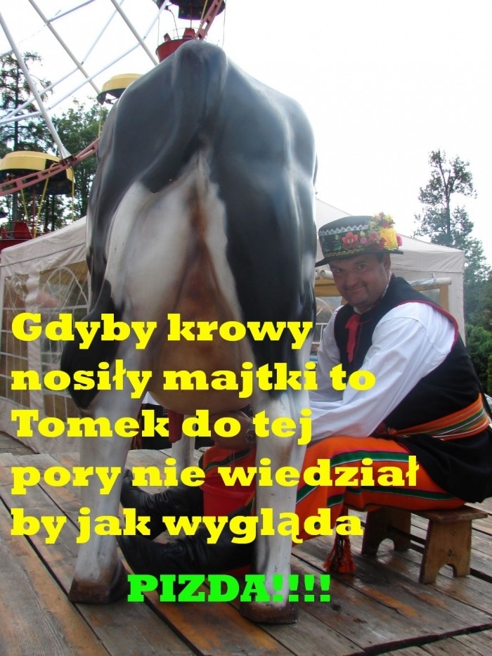 Gdyby krowy nosiły majtki...