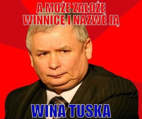 Pomysł na biznes