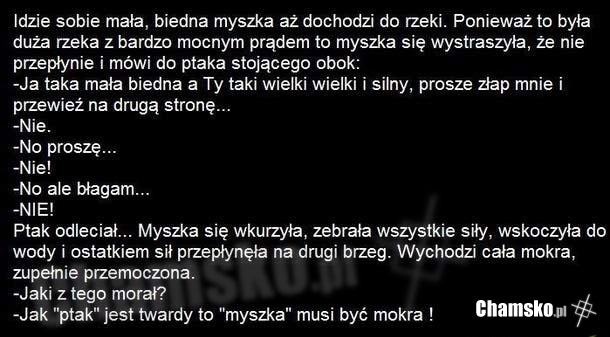 Myszka