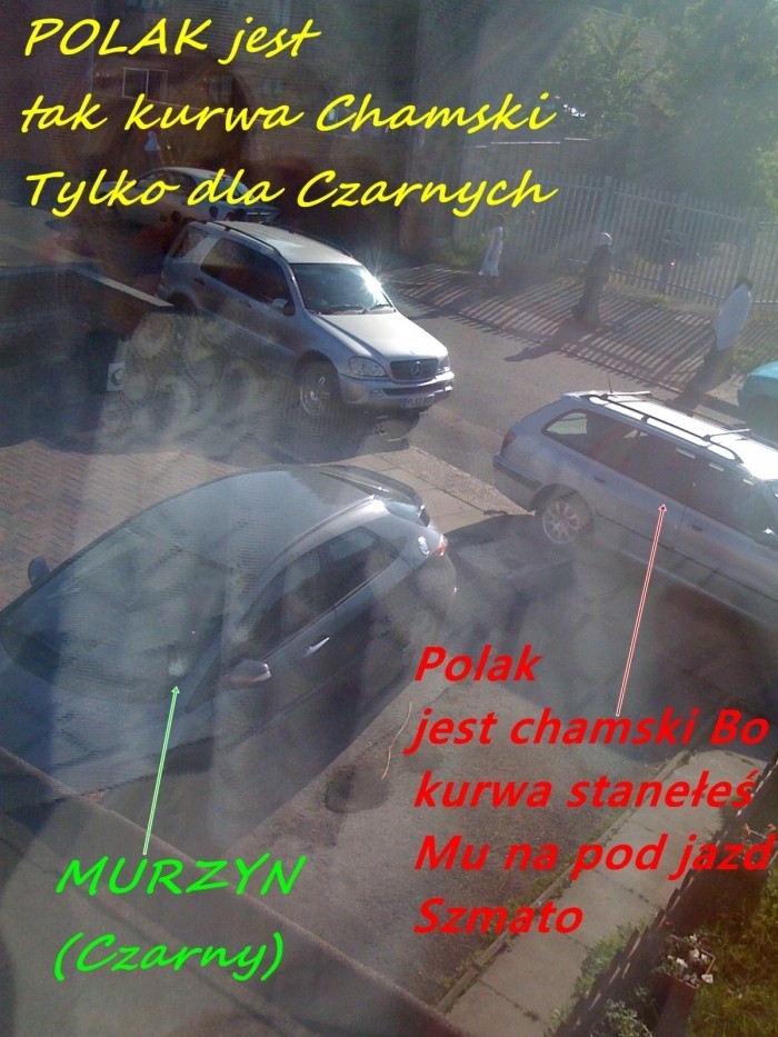 Chamstwo Polaka w Angli