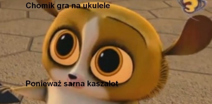 Chomik gra na ukulele...
