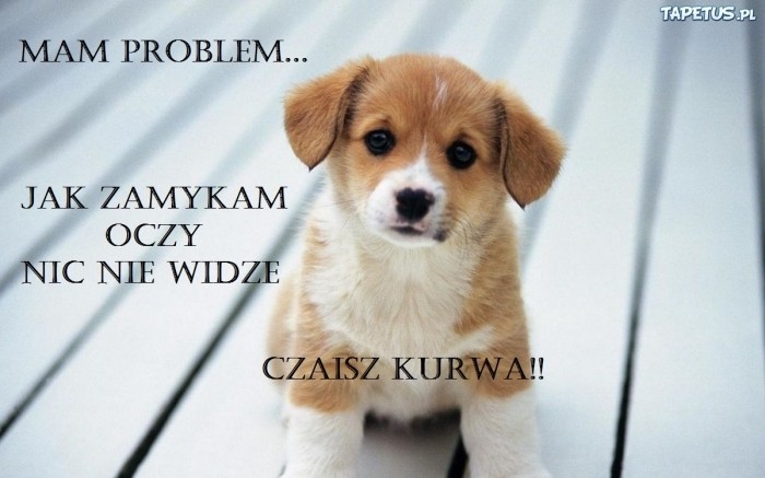 Problem