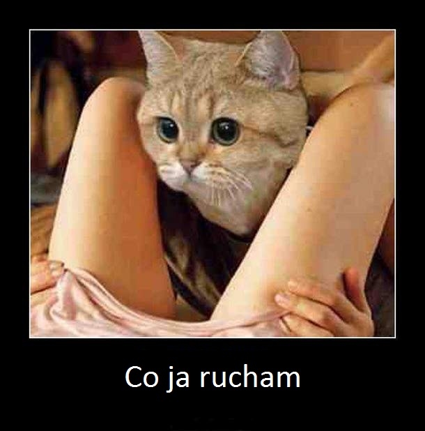 Co ja rucham