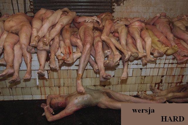 sauna...