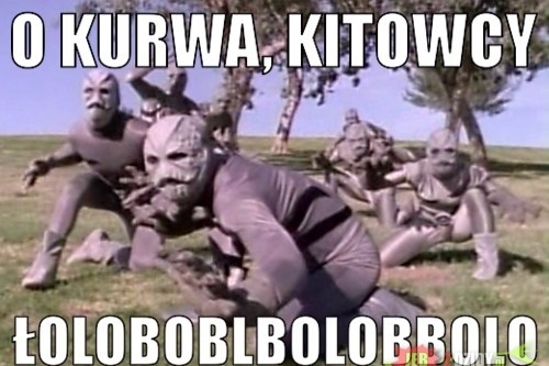 kitowcy