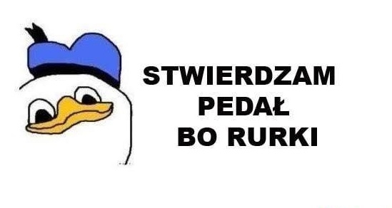 Rurki