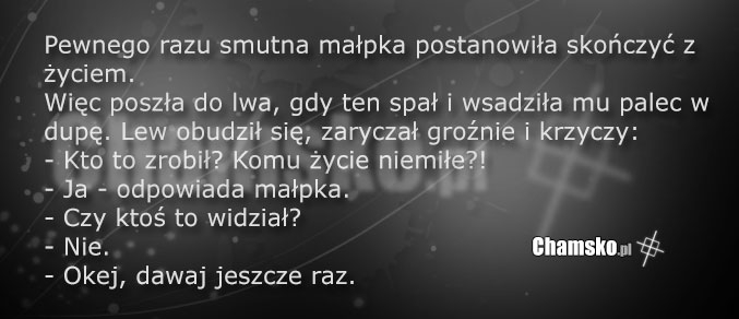 Lew i małpka