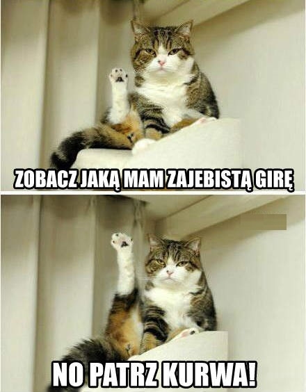 Patrz!