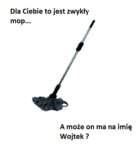 Zwyk?y mop...