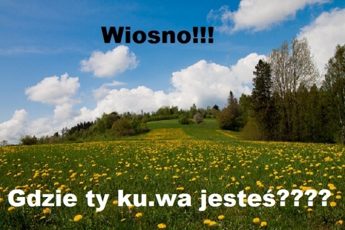 Wiosna