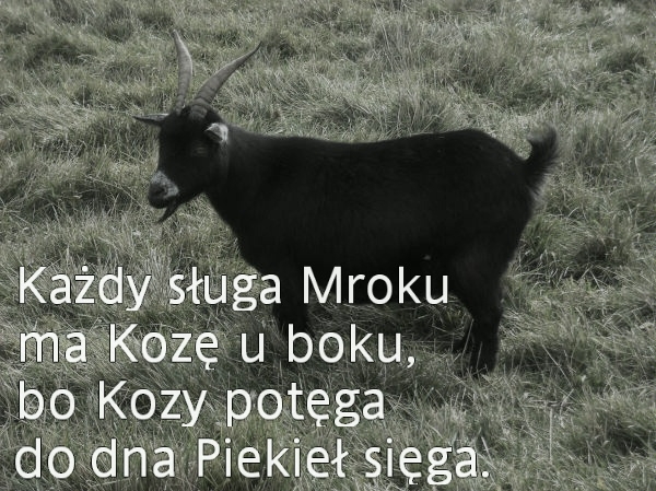 Koza 666