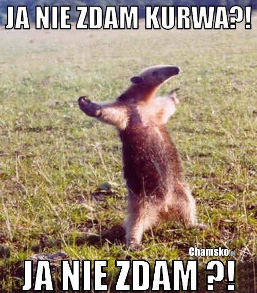 Ja nie zdam?!