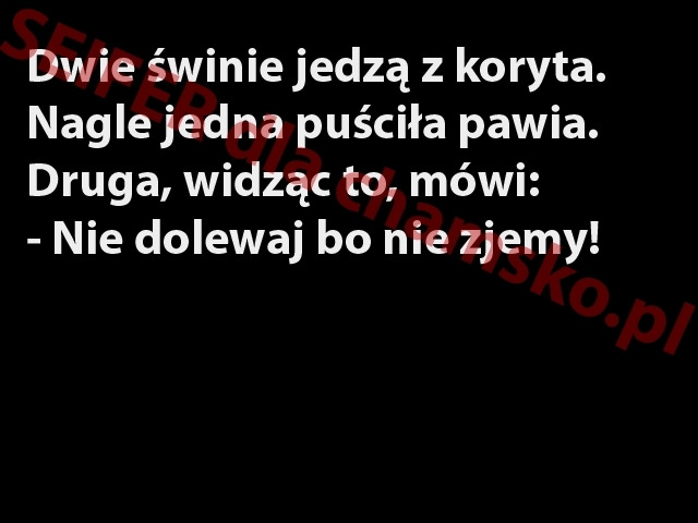 ?winki