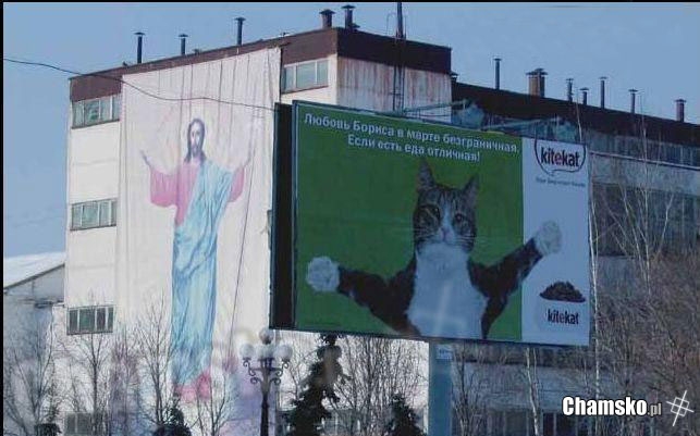 Jezus i kot