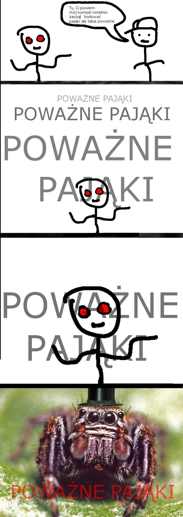 Paj?ki