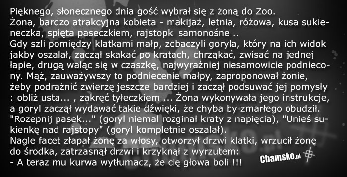 Napalony goryl