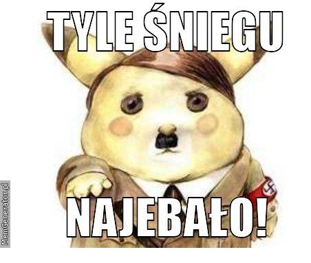 Tyle ?niegu