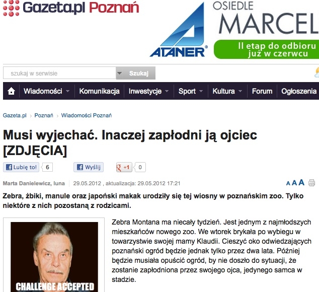 Dlaczego musi wyjecha??
