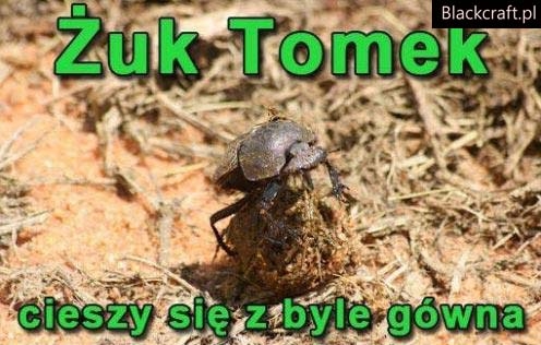 ?uk Tomek