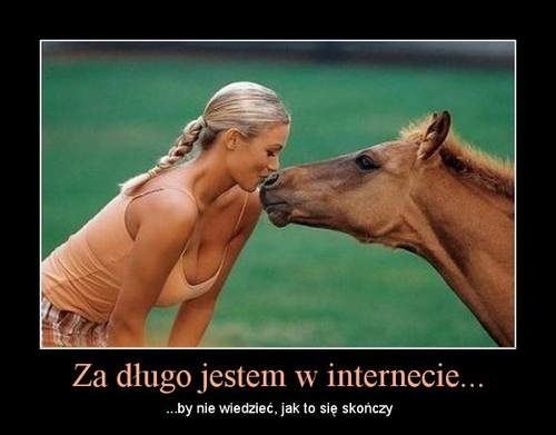 Internet zmienia perspektyw?