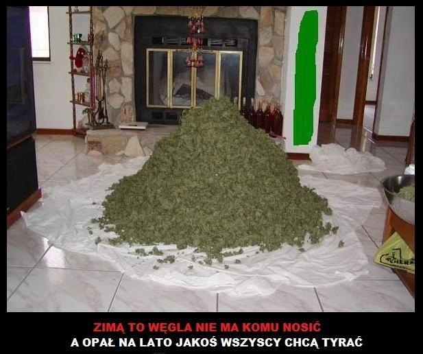 Opa?