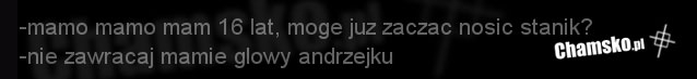 Pierwszy stanik