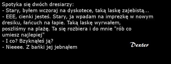 Dresiarz