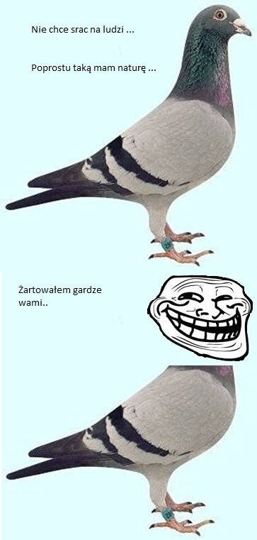 Go??b...