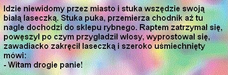 niewidomy