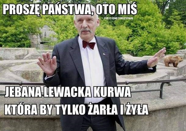Miś