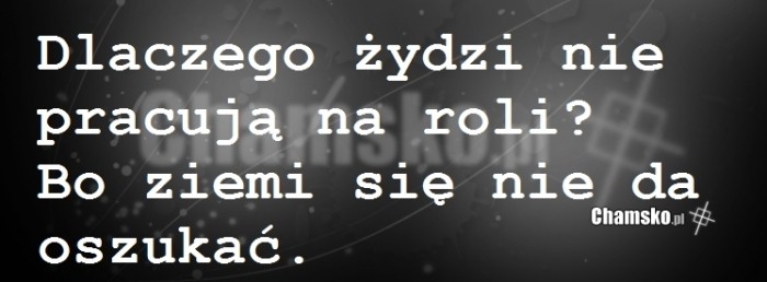 Żydy